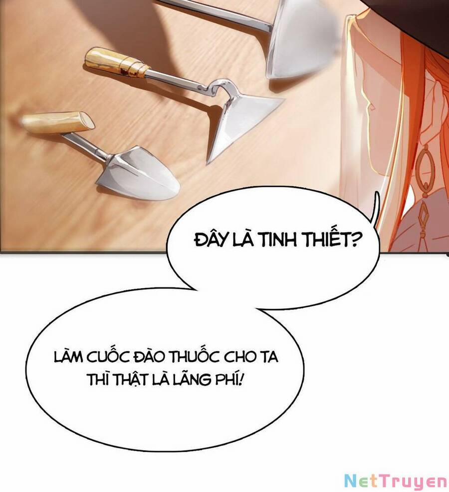 manhwax10.com - Truyện Manhwa Bộ Tinh Ti Chi Nguyên Khởi Chương 10 Trang 13