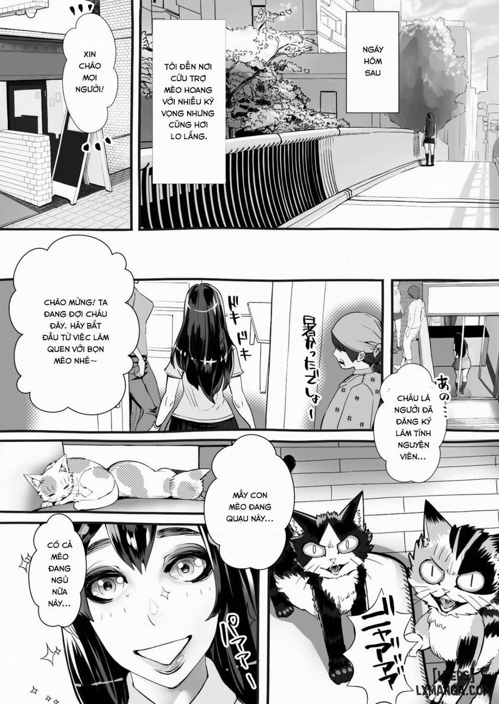 manhwax10.com - Truyện Manhwa Boku no Kanojo ga Taninbou de Zecchou Itasu Chương Oneshot Trang 15