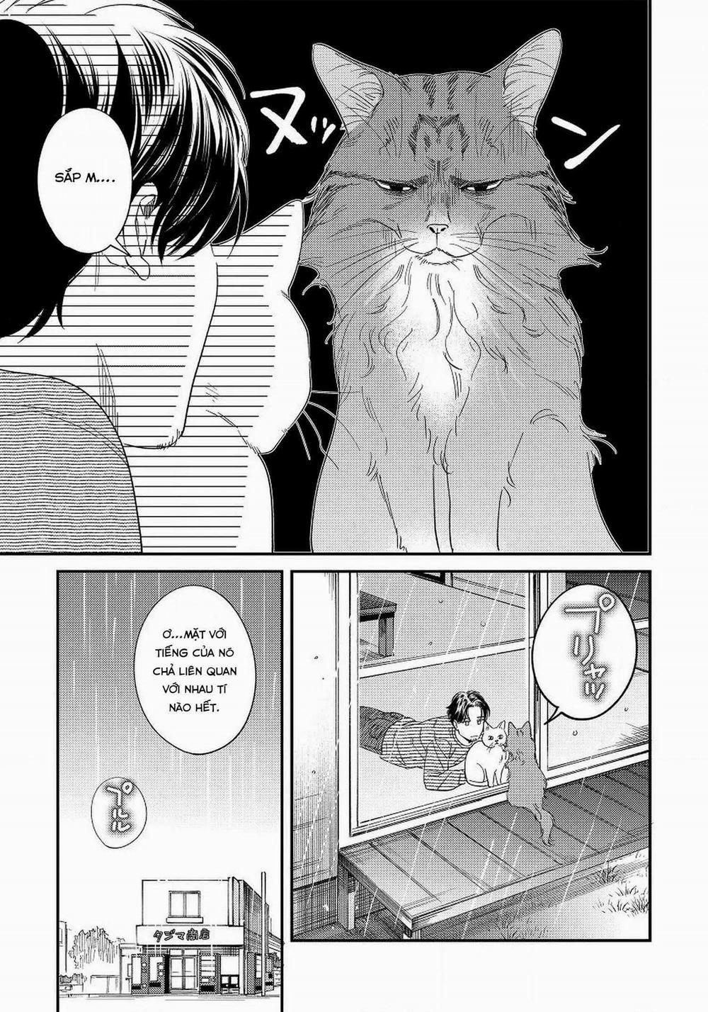 manhwax10.com - Truyện Manhwa Boku no Omawari-san Chương 12 Trang 5