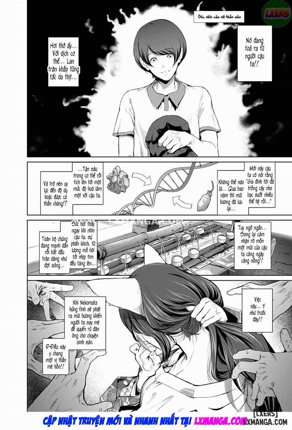 manhwax10.com - Truyện Manhwa Boy Meets Cat Goddess Chương 1 Trang 11