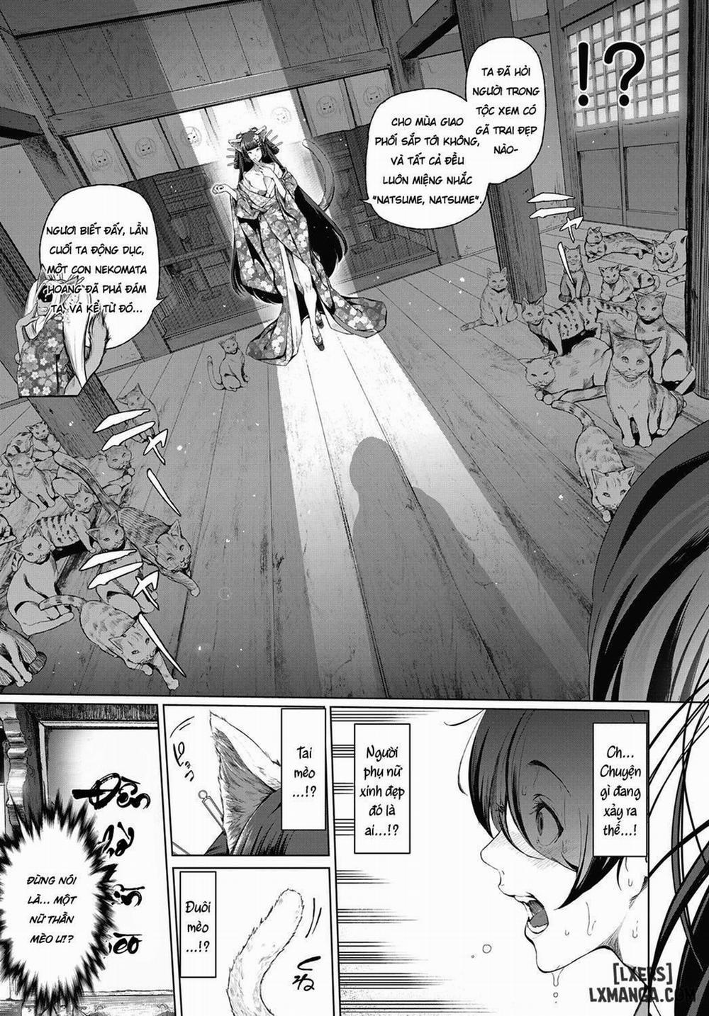 manhwax10.com - Truyện Manhwa Boy Meets Cat Goddess Chương Oneshot Trang 2