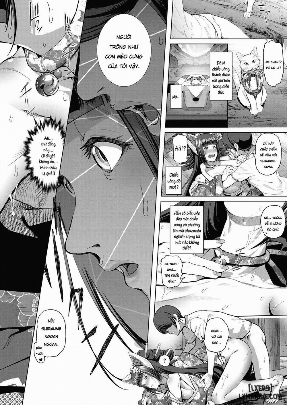 manhwax10.com - Truyện Manhwa Boy Meets Cat Goddess Chương Oneshot Trang 23