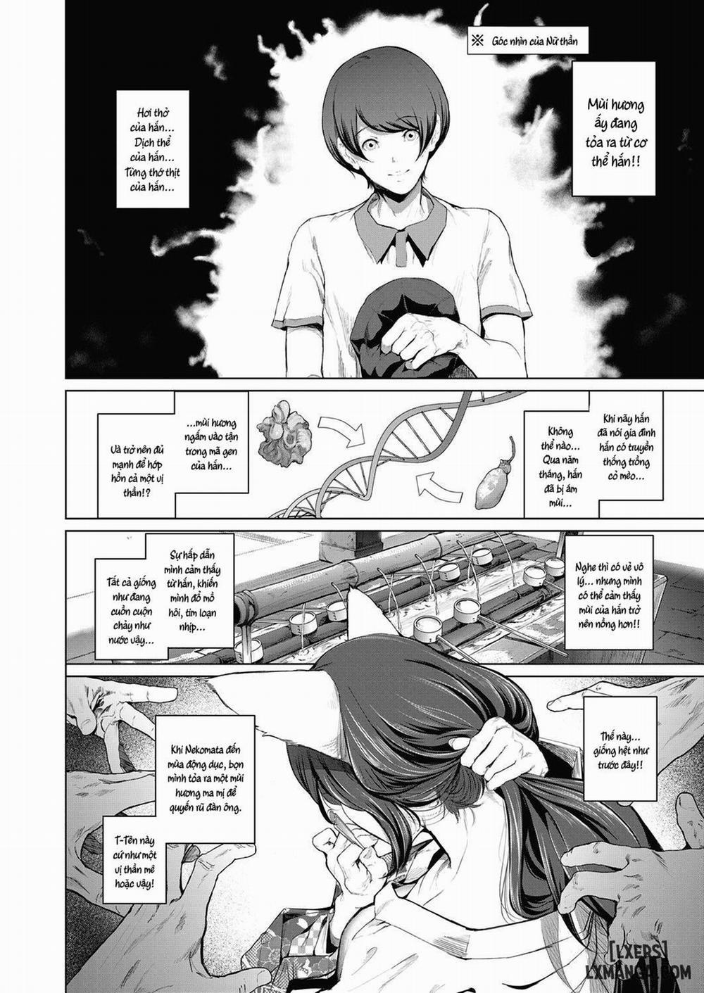 manhwax10.com - Truyện Manhwa Boy Meets Cat Goddess Chương Oneshot Trang 7