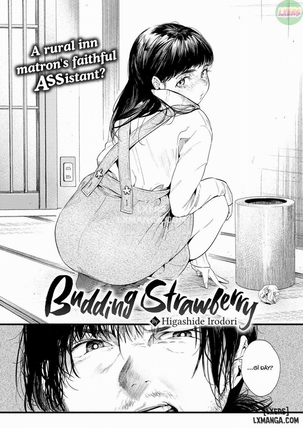 manhwax10.com - Truyện Manhwa Budding Strawberry Chương Oneshot Trang 2