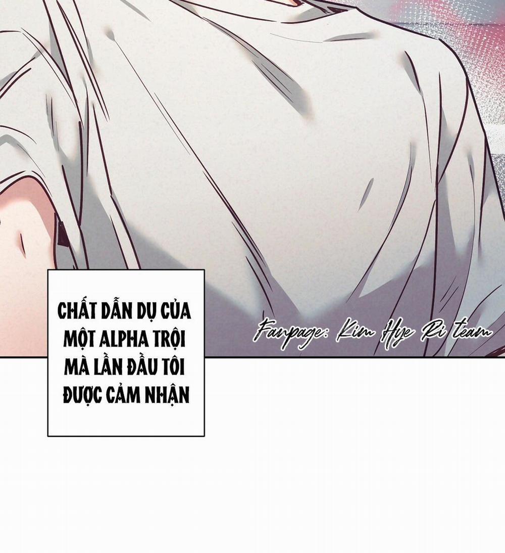 manhwax10.com - Truyện Manhwa BYE BYE Chương 7 Trang 19