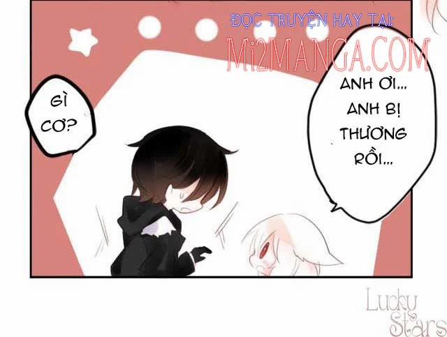 manhwax10.com - Truyện Manhwa Ca Ca Xin Hãy Nhận Nuôi~Meow Chương 1 5 Trang 5