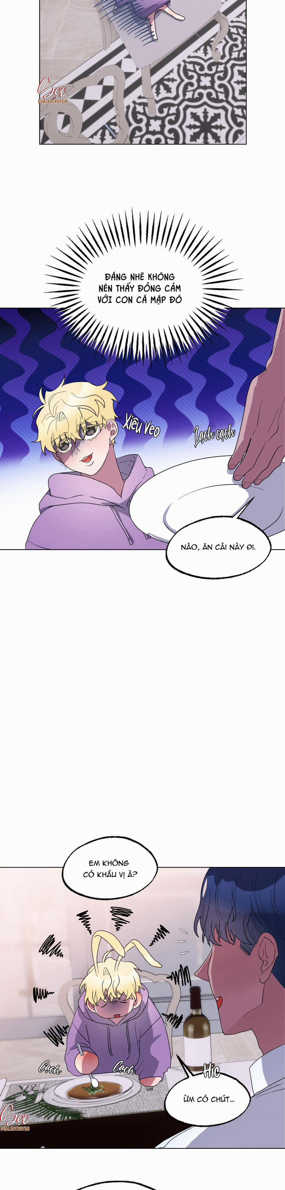 manhwax10.com - Truyện Manhwa Cá Mập Và Cô Dâu Thỏ Chương 15 Trang 2