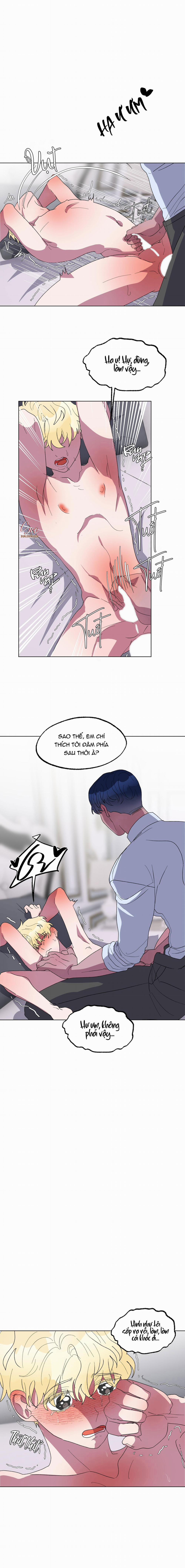 manhwax10.com - Truyện Manhwa Cá Mập Và Cô Dâu Thỏ Chương 16 Trang 13