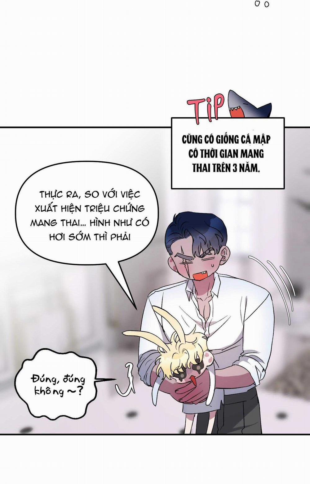 manhwax10.com - Truyện Manhwa Cá Mập Và Cô Dâu Thỏ Chương 27 Trang 26