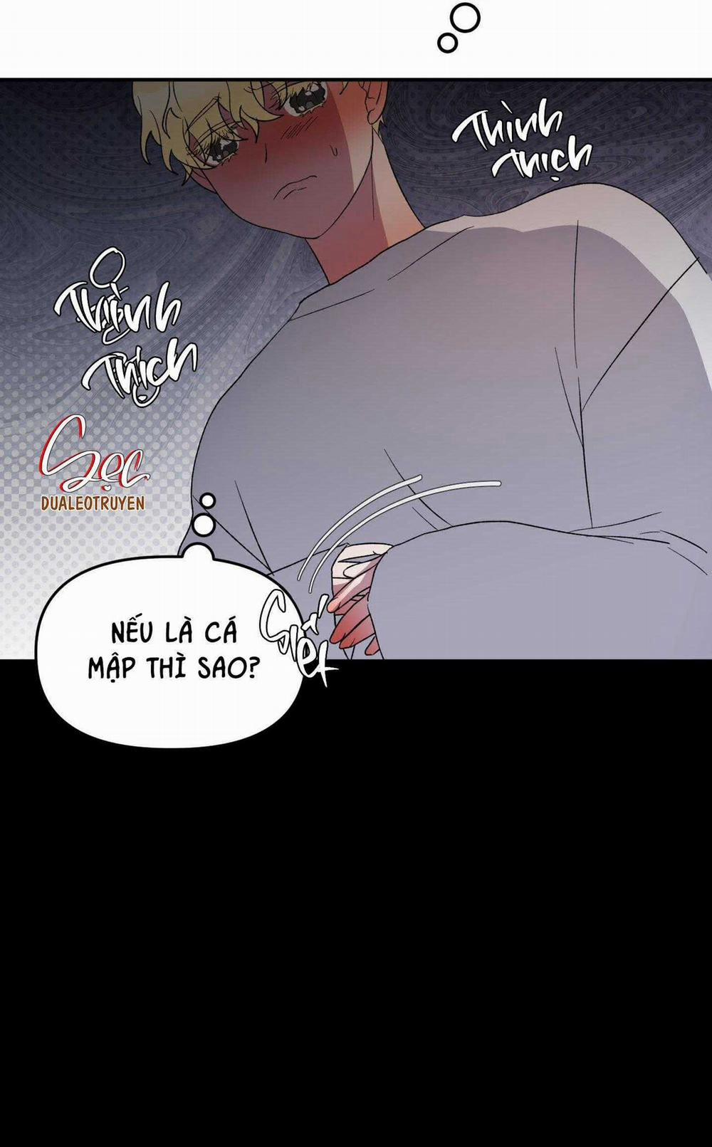 manhwax10.com - Truyện Manhwa Cá Mập Và Cô Dâu Thỏ Chương 27 Trang 9