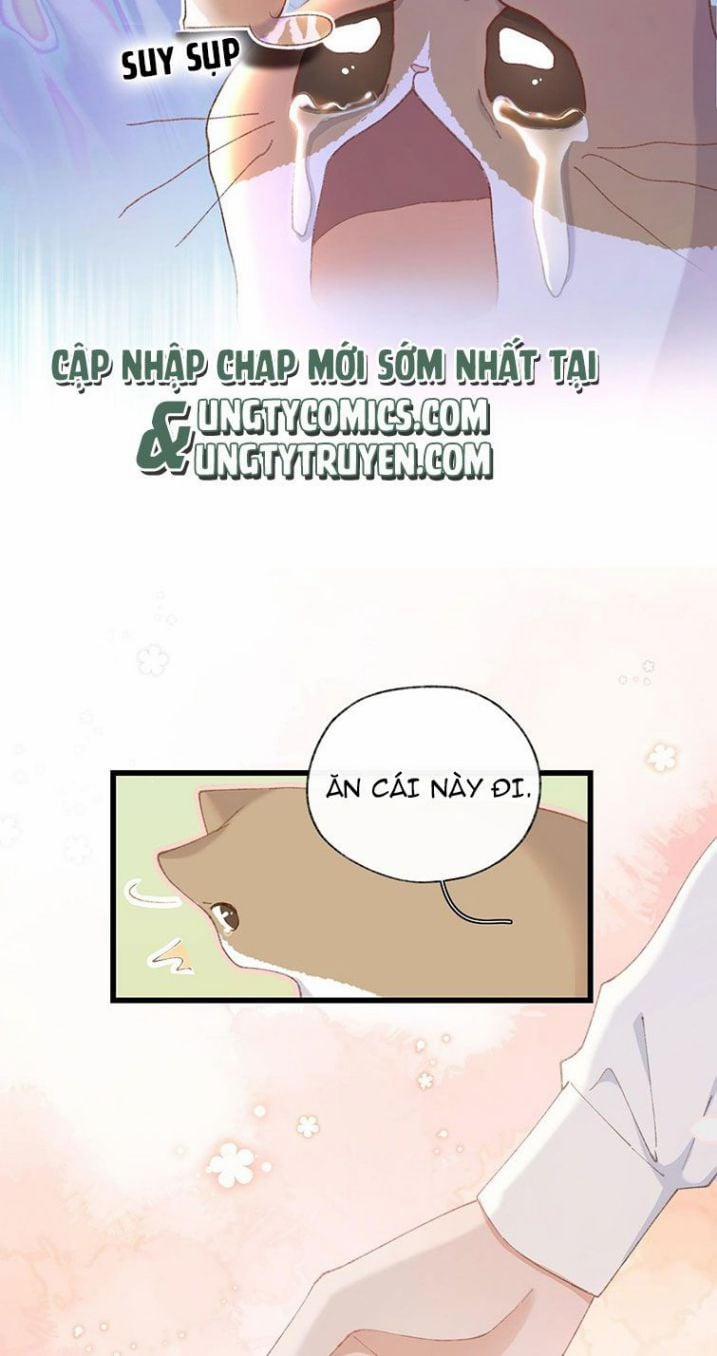 manhwax10.com - Truyện Manhwa Cà Phê Mèo Phục Thù Ký Chương 7 Trang 15