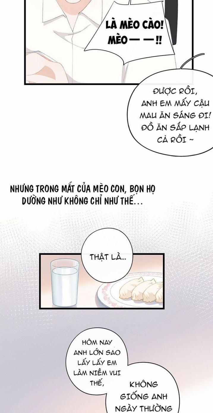 manhwax10.com - Truyện Manhwa Cà Phê Mèo Phục Thù Ký Chương 7 Trang 33