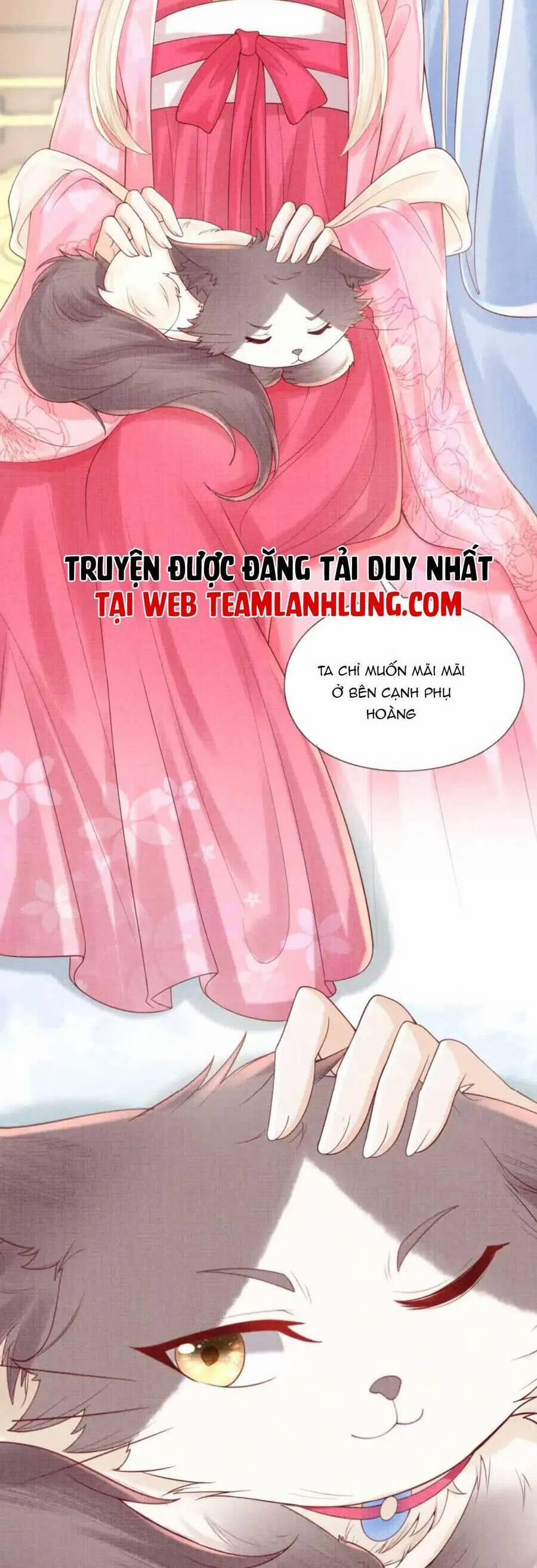 manhwax10.com - Truyện Manhwa Các Đệ Tử Ai Cũng Nói Yêu Ta Chương 19 Trang 11