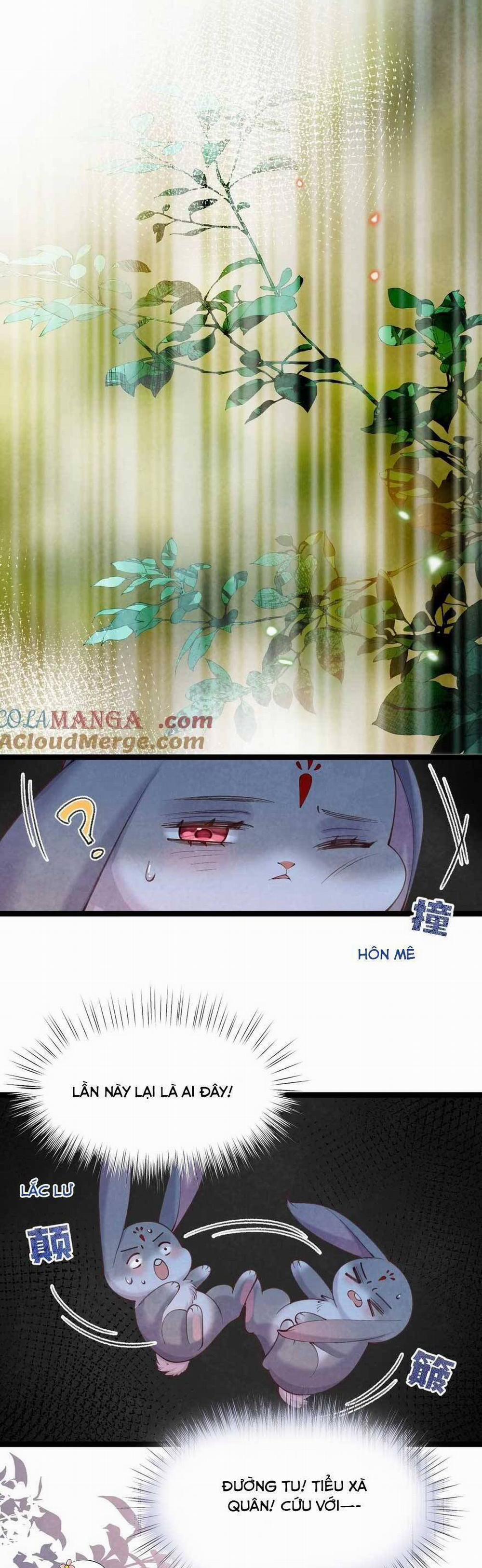 manhwax10.com - Truyện Manhwa Cách Để Tồn Tại Như Một Cống Phẩm Chương 16 Trang 9