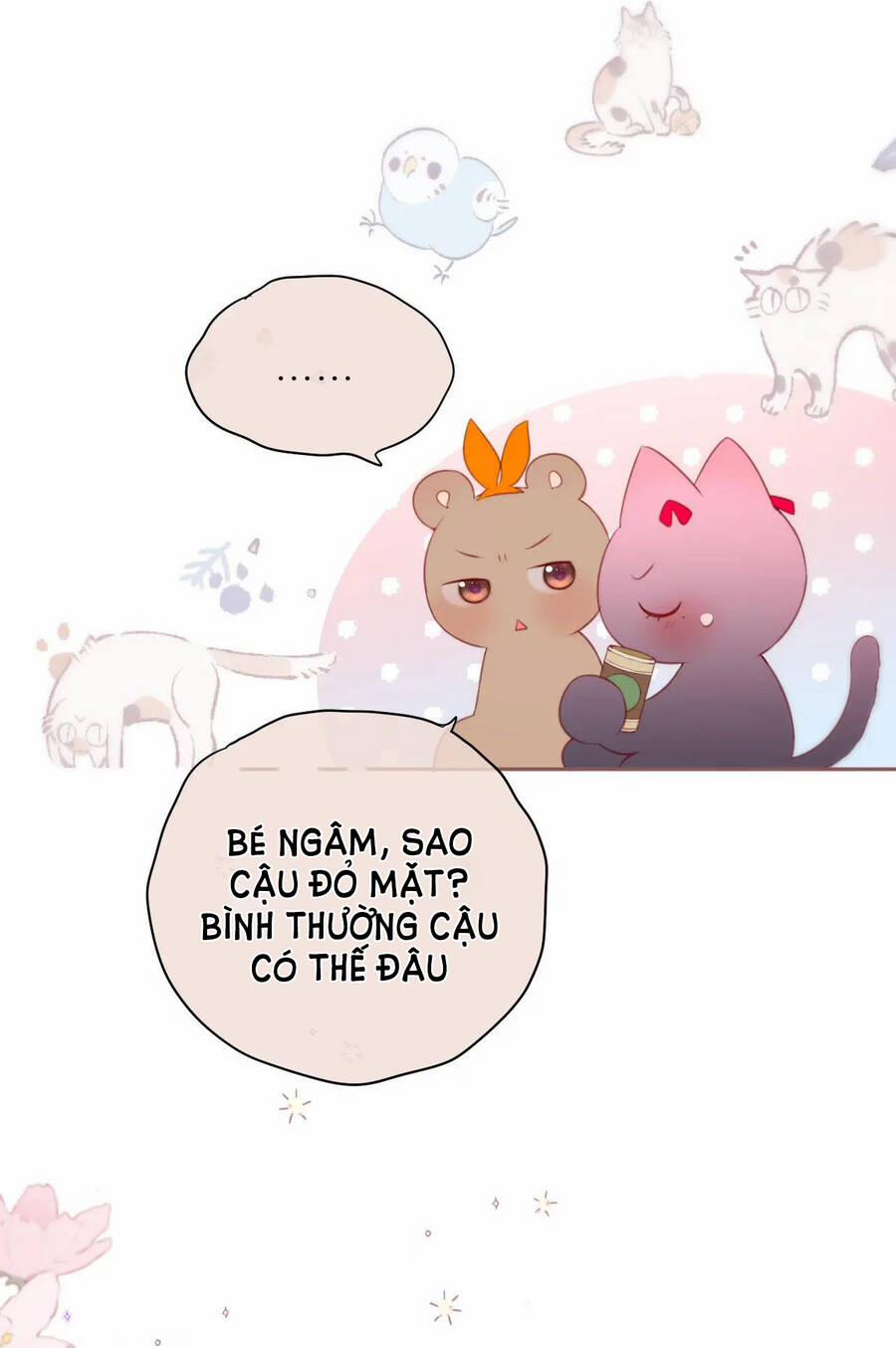 manhwax10.com - Truyện Manhwa Cạm Bẫy Của Hồ Ly Chương 39 2 Trang 29