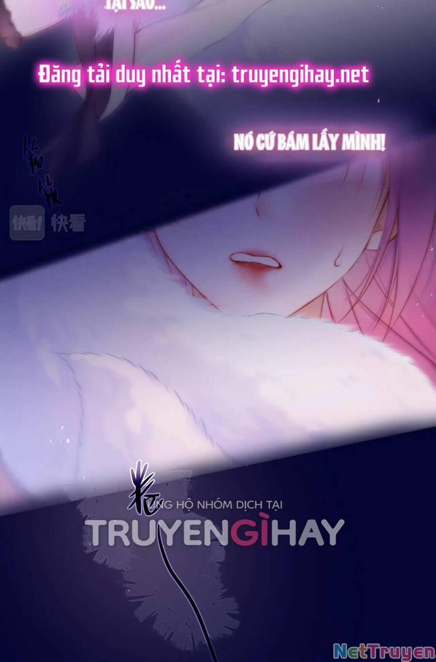 manhwax10.com - Truyện Manhwa Cạm Bẫy Của Hồ Ly Chương 42 1 Trang 21