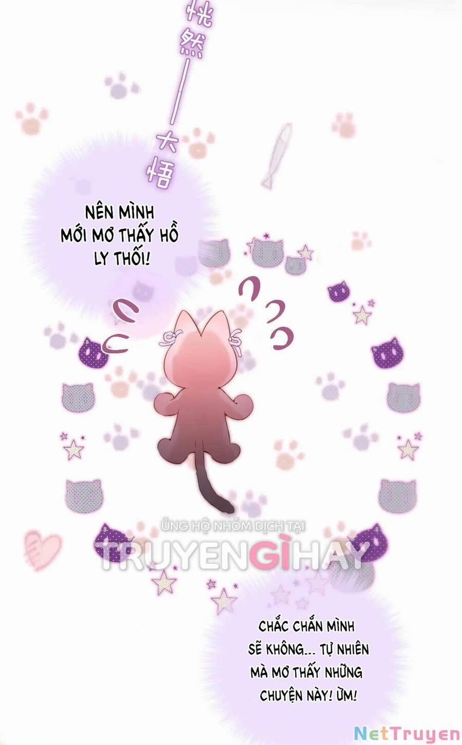 manhwax10.com - Truyện Manhwa Cạm Bẫy Của Hồ Ly Chương 42 2 Trang 19