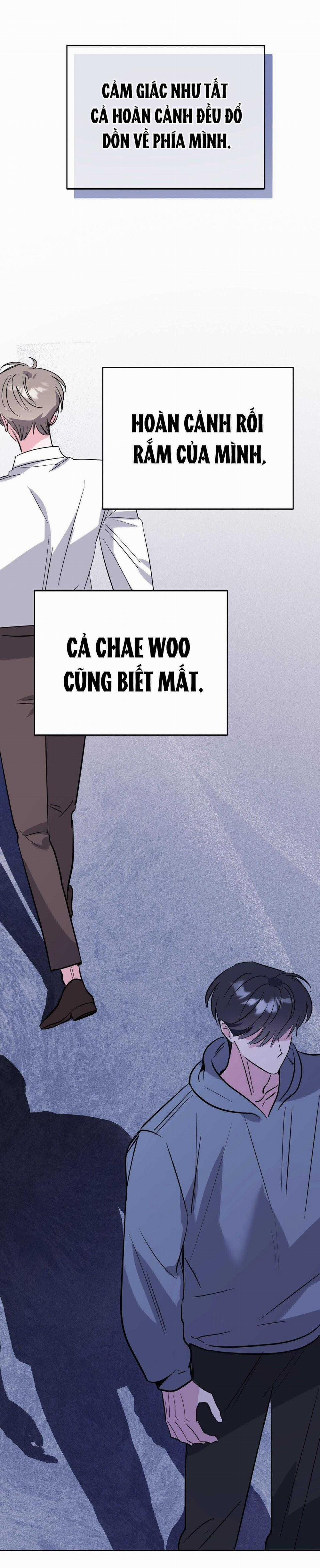 manhwax10.com - Truyện Manhwa Cạm Bẫy Đại Học Chương 97 Trang 48