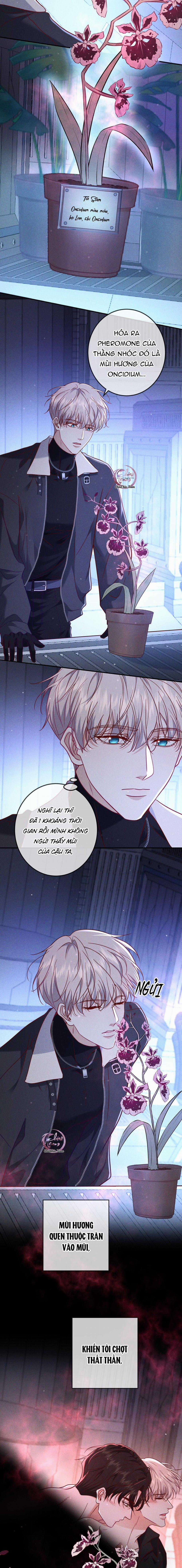 manhwax10.com - Truyện Manhwa Cạn Tình Chương 54 Trang 4