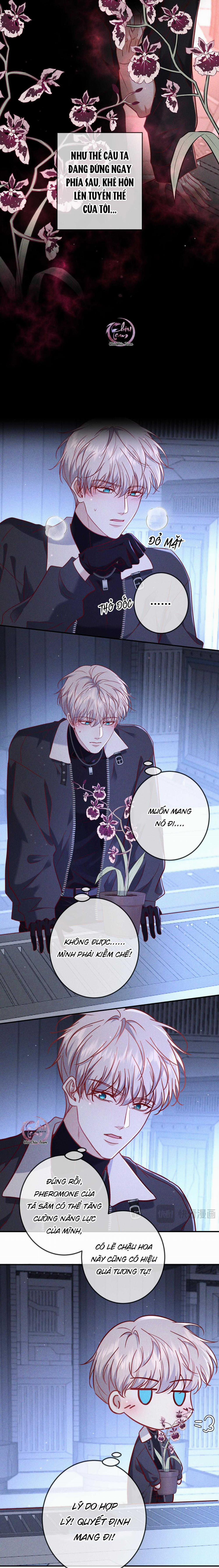 manhwax10.com - Truyện Manhwa Cạn Tình Chương 54 Trang 5