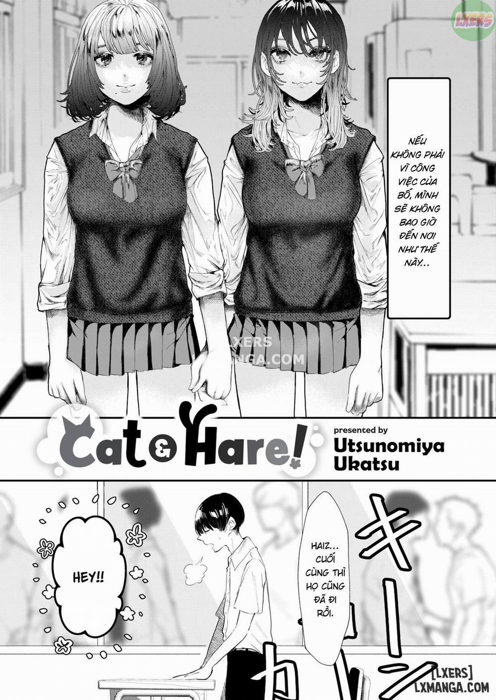 manhwax10.com - Truyện Manhwa Cat Hare! Chương Oneshot Trang 5