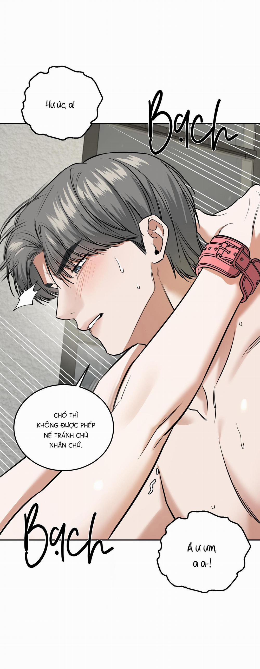 manhwax10.com - Truyện Manhwa (CBunu) Hưởng Lợi Chương 16 H Trang 46