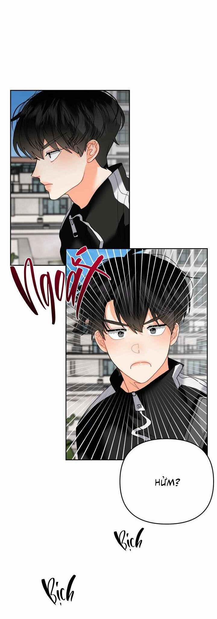 manhwax10.com - Truyện Manhwa ( CBunu ) Omega Của Anh Chương 8 Trang 4