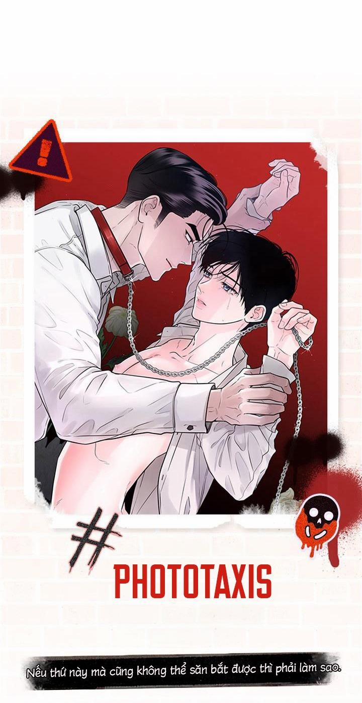 manhwax10.com - Truyện Manhwa (CBunu) Series giáo điều cún cưng Chương 1 H Trang 12