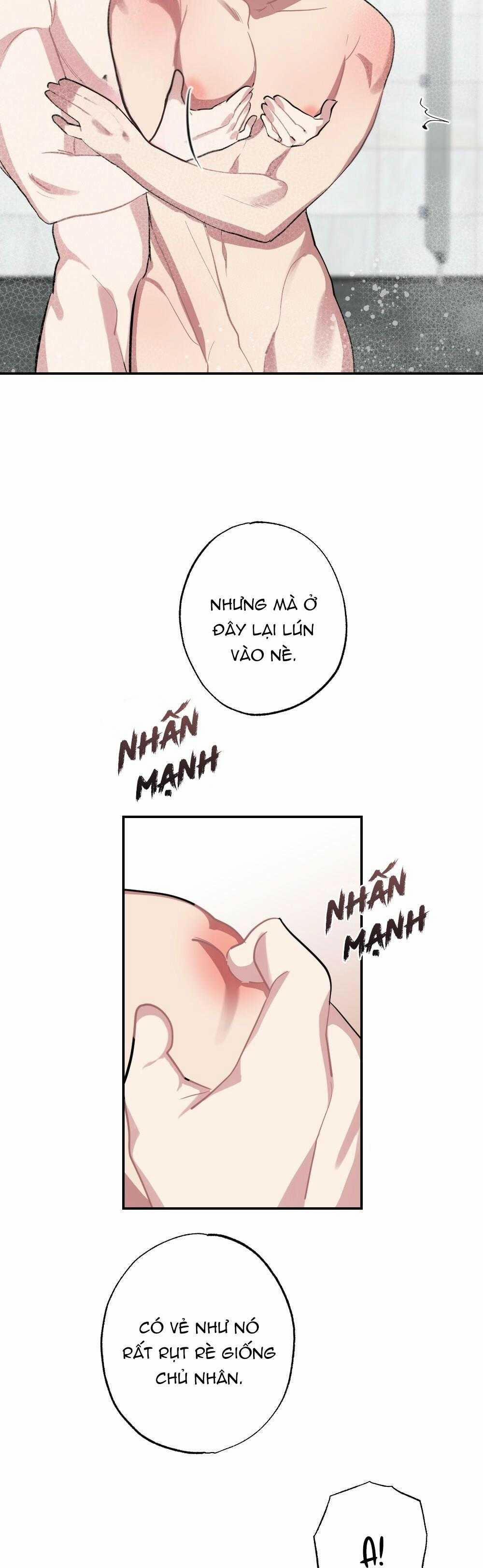 manhwax10.com - Truyện Manhwa CHĂM SÓC Chương 67 Trang 18