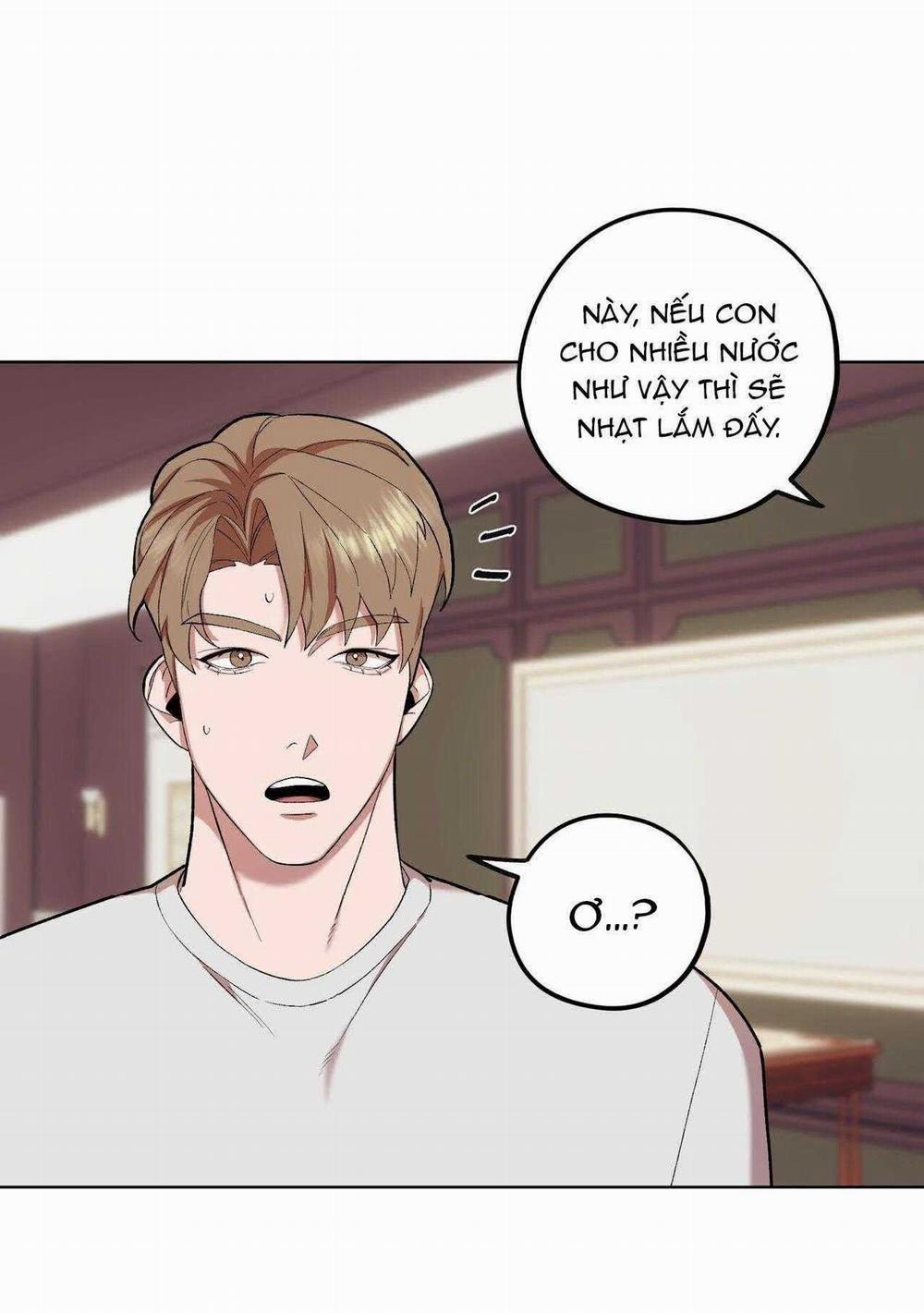 manhwax10.com - Truyện Manhwa Chàng Dâu Nhà Họ Kang Chương 69 Trang 17