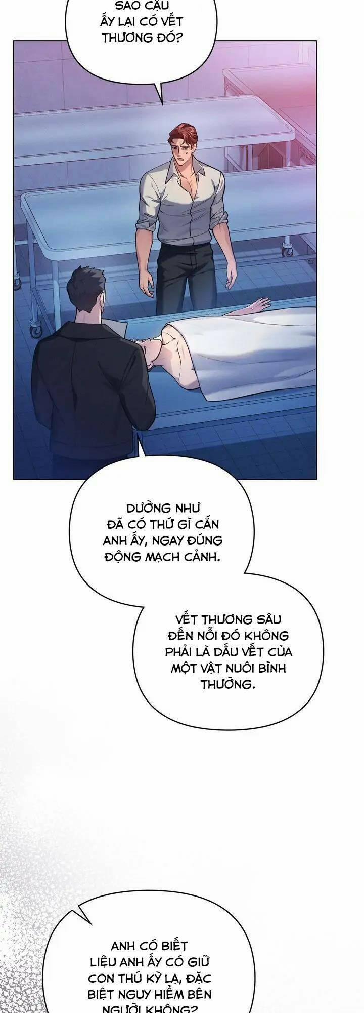 manhwax10.com - Truyện Manhwa Chàng Người Sói Phát Điên Vì Tôi Chương 12 Trang 18