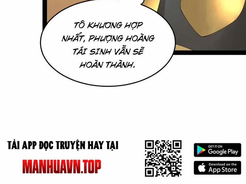 manhwax10.com - Truyện Manhwa Chàng Rể Mạnh Nhất Lịch Sử Chương 253 Trang 18