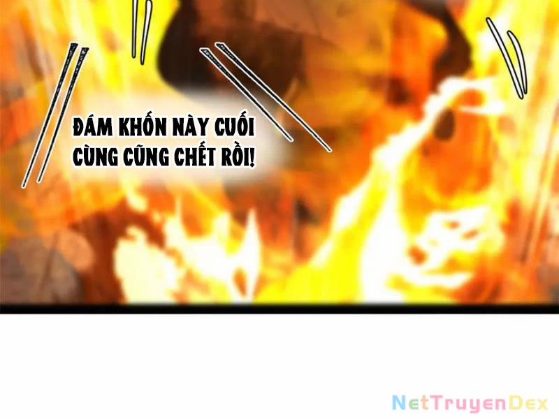 manhwax10.com - Truyện Manhwa Chàng Rể Mạnh Nhất Lịch Sử Chương 258 Trang 48