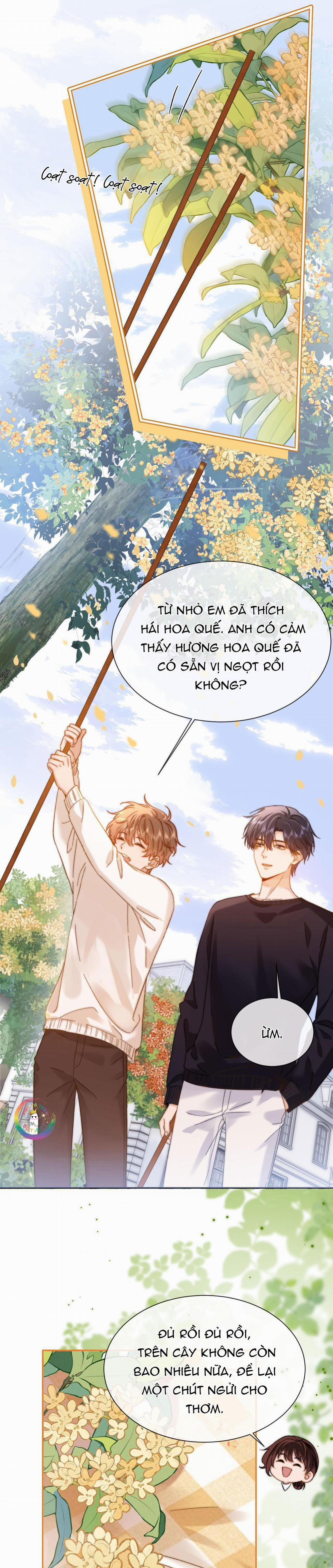 manhwax10.com - Truyện Manhwa Chất Dị Ứng Cực Cute Chương 33 Trang 4