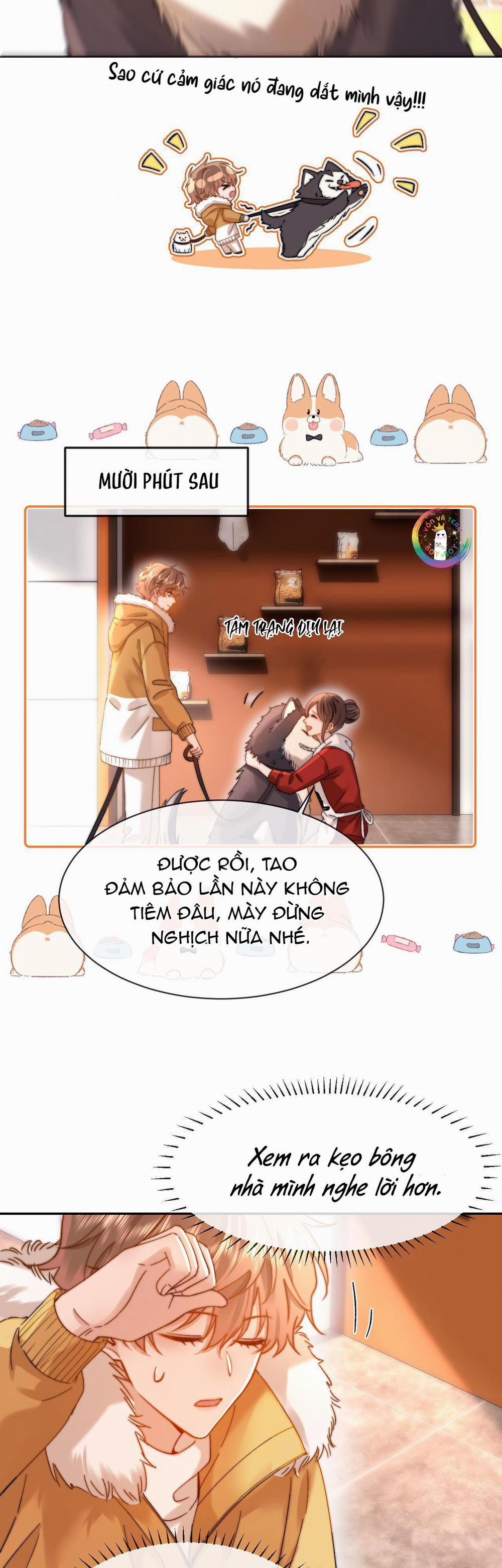 manhwax10.com - Truyện Manhwa Chất Dị Ứng Cực Cute Chương 49 Trang 17