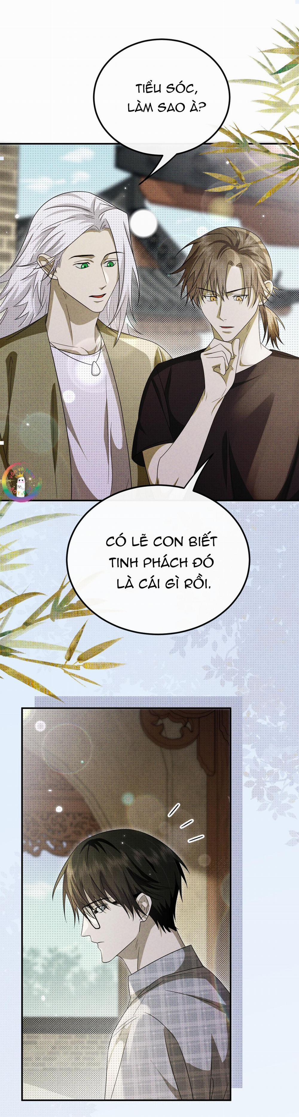 manhwax10.com - Truyện Manhwa Chí Âm Chí Dương (END) Chương 28 Trang 14