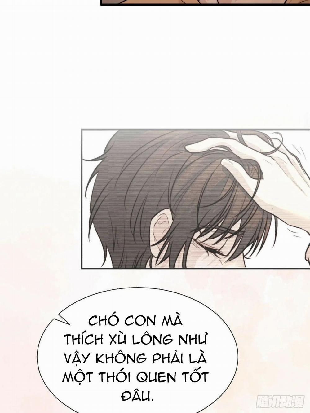 manhwax10.com - Truyện Manhwa Chó Hư Khó Giữ Chương 22 Trang 37