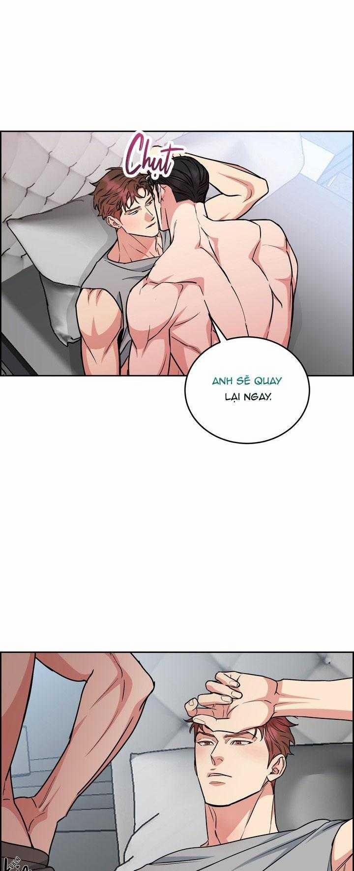 manhwax10.com - Truyện Manhwa Chó Và Chim Chương 52 Trang 19