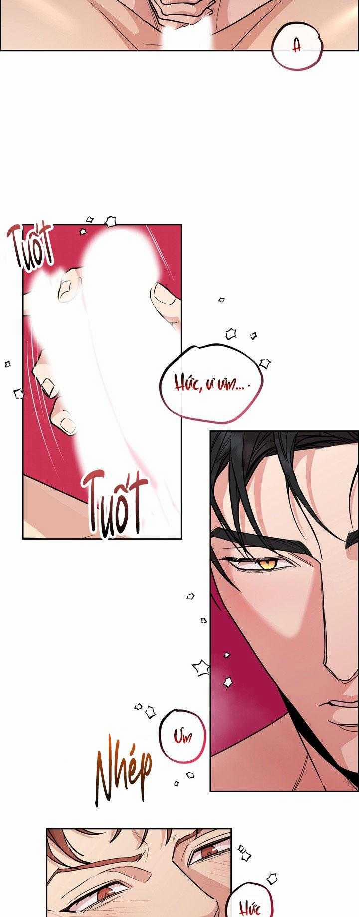 manhwax10.com - Truyện Manhwa Chó Và Chim Chương 52 Trang 6