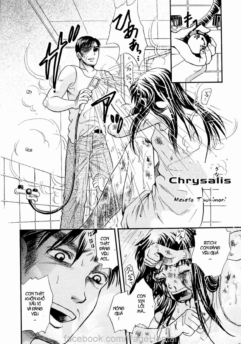 manhwax10.com - Truyện Manhwa Chrysalis Chương Oneshot Trang 3