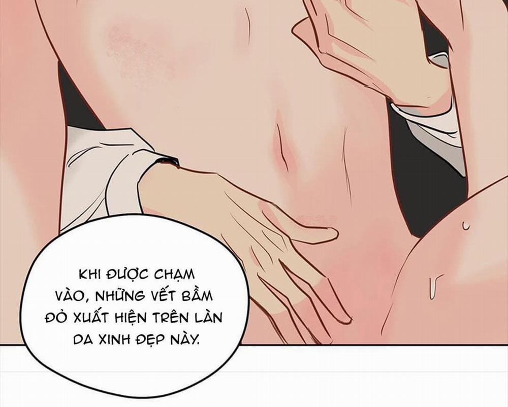 manhwax10.com - Truyện Manhwa Chuyện Quái Gì Với Giấc Mơ Đó Vậy? Chương 39 Trang 38