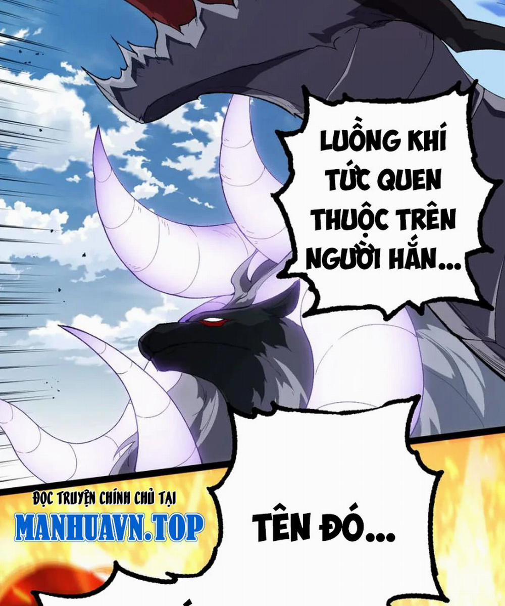 manhwax10.com - Truyện Manhwa Chuyển Sinh Thành Liễu Đột Biến Chương 267 Trang 49