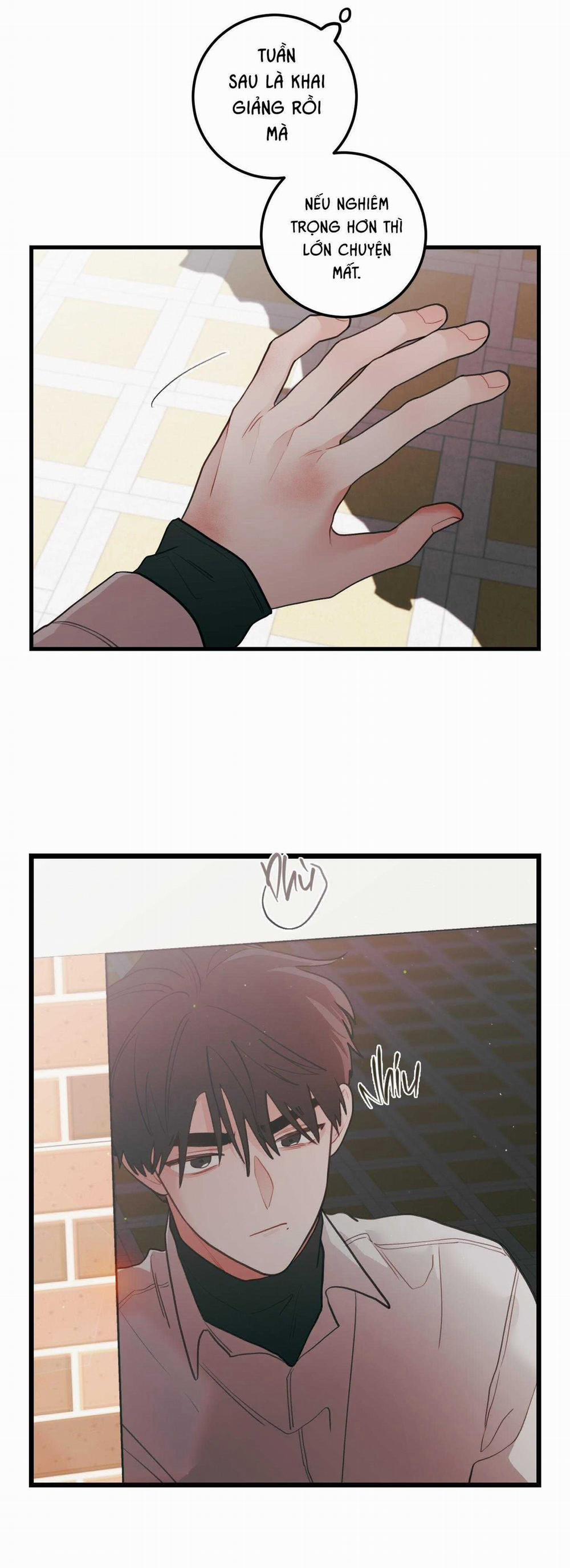 manhwax10.com - Truyện Manhwa CHUYỆN TÌNH HOA LÊ NỞ Chương 76 Trang 11