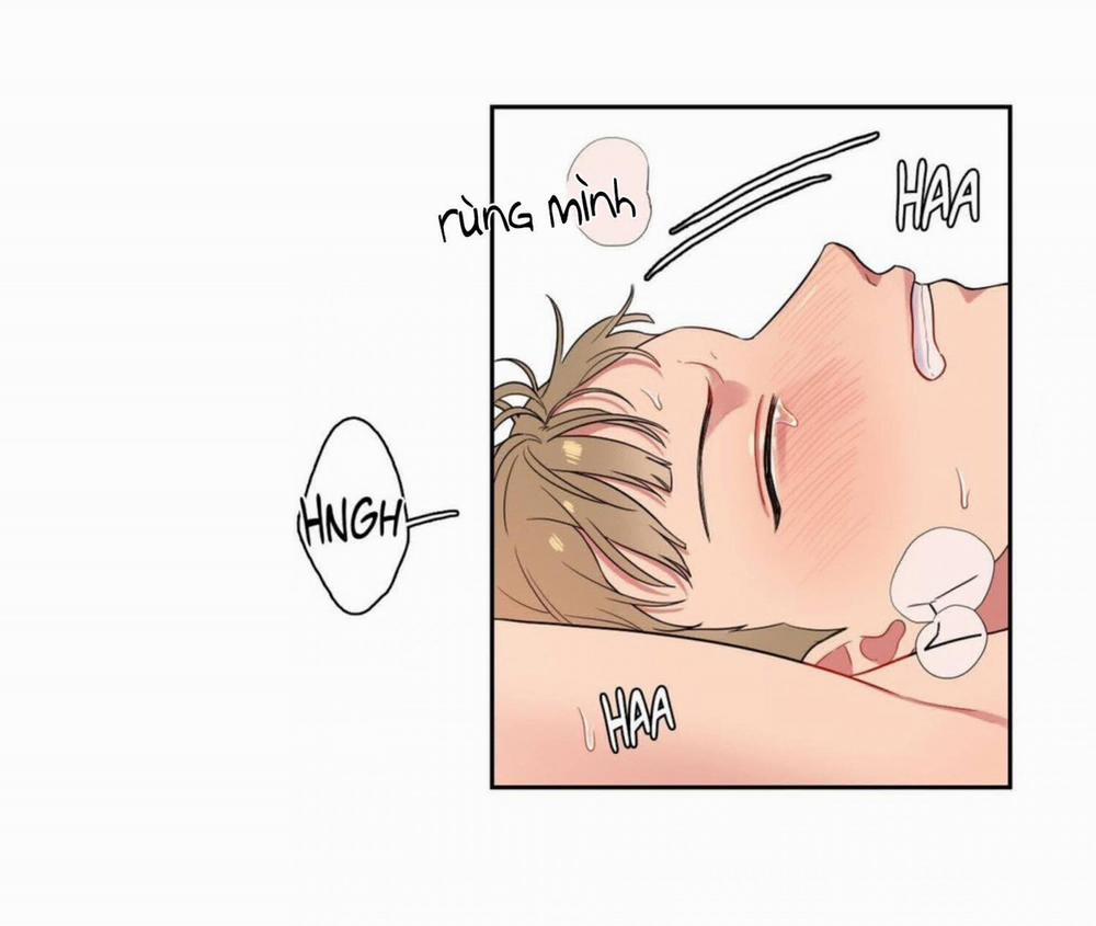 manhwax10.com - Truyện Manhwa Chuyện Tình Không Luật Lệ Chương 5 Trang 33