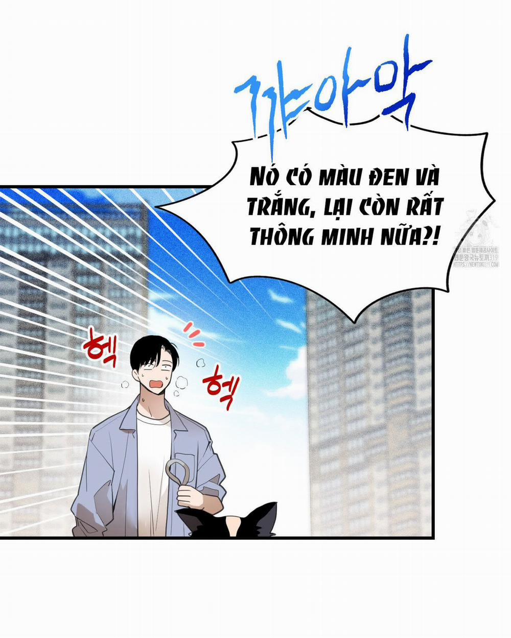 manhwax10.com - Truyện Manhwa Chuyện Tình Lông Chó Chương 14 Trang 38