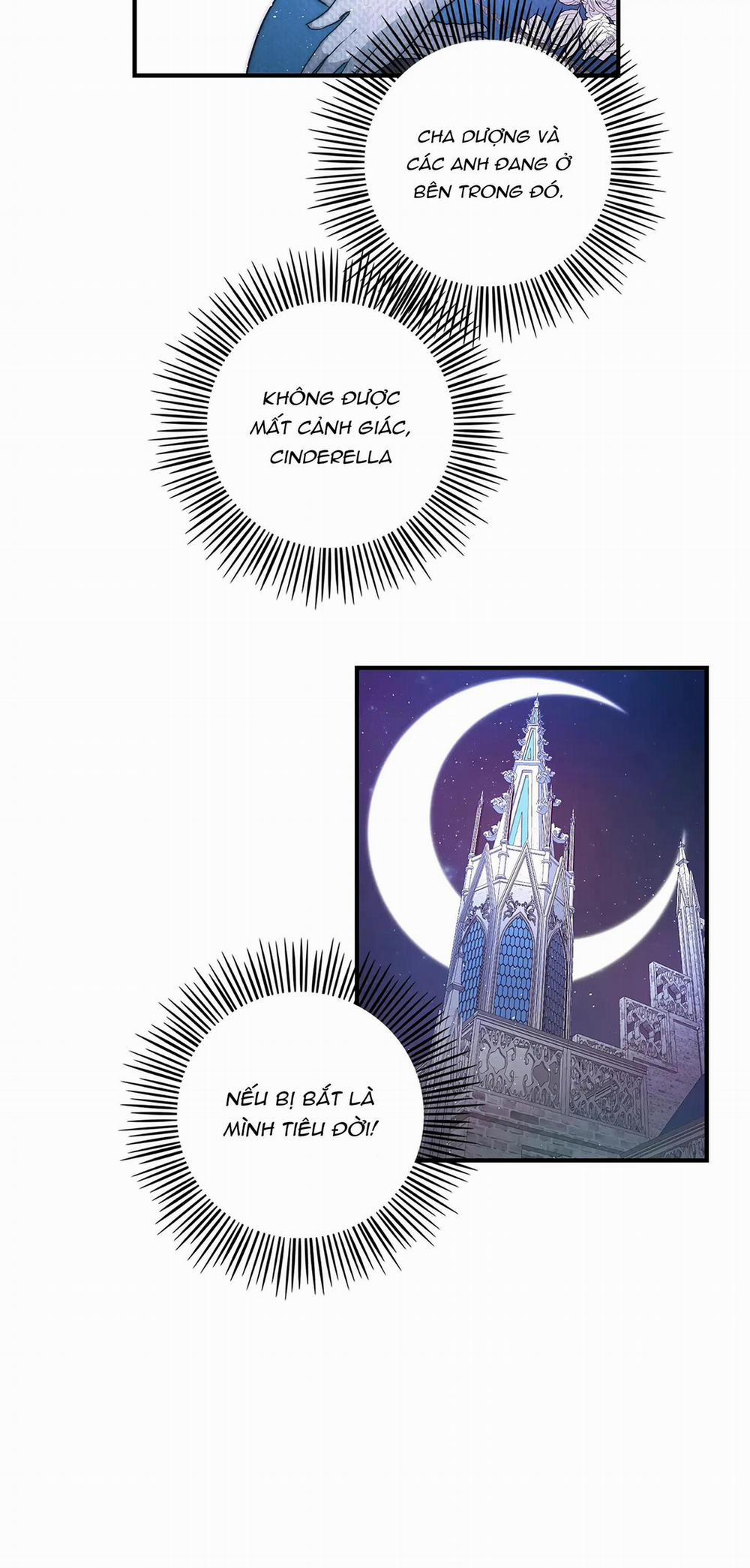 manhwax10.com - Truyện Manhwa Cinderella Chương 8 Trang 12