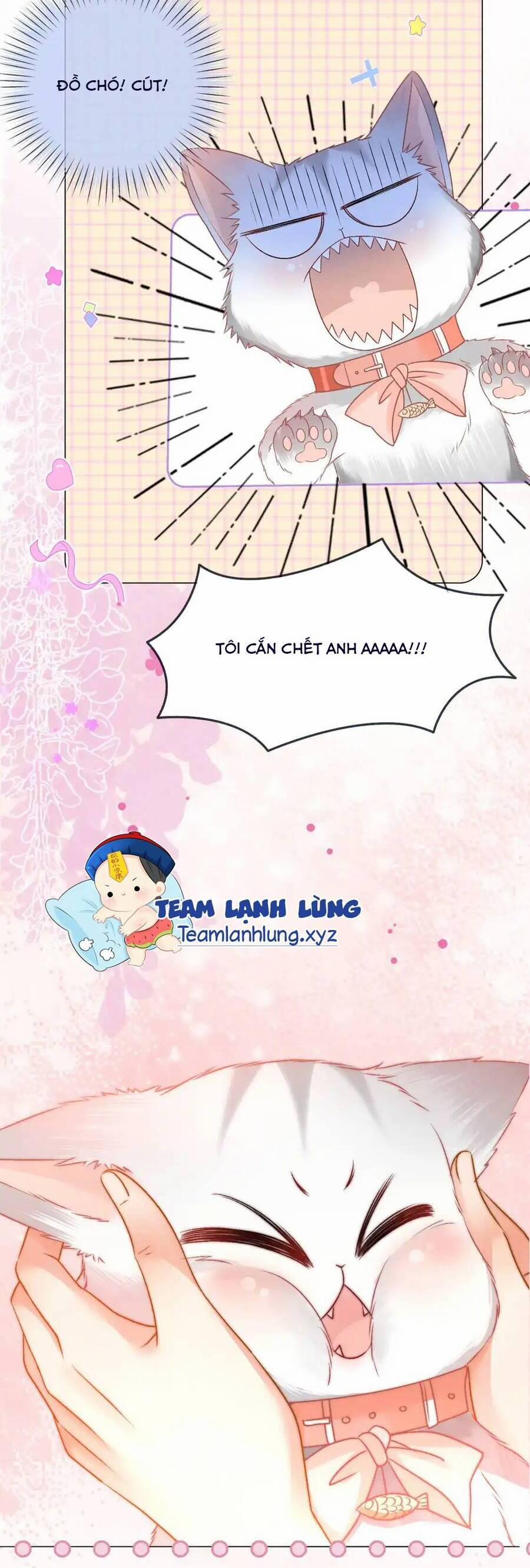 manhwax10.com - Truyện Manhwa Cô Ấy Ngày Nào Cũng Lên Hot Search! Chương 98 Trang 20