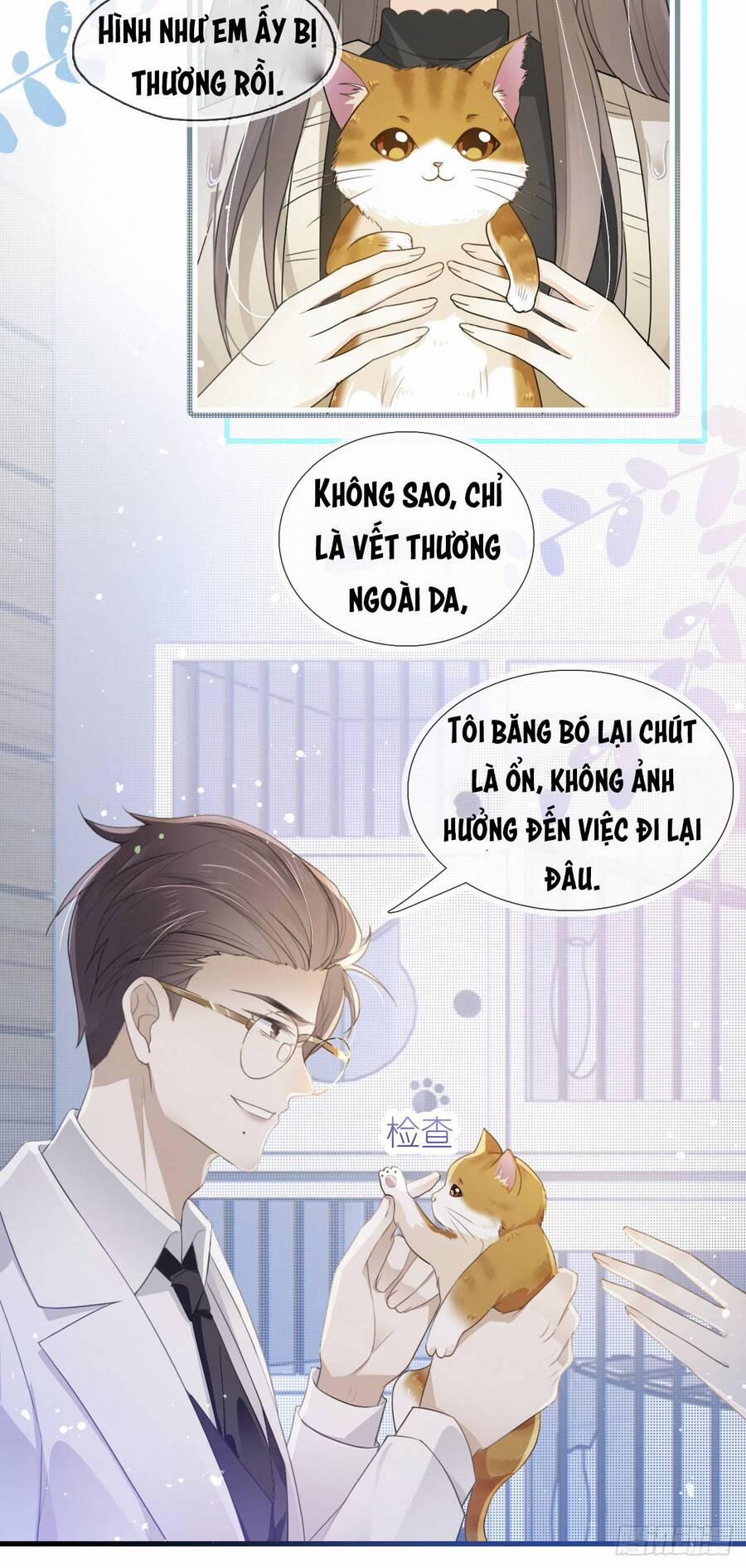 manhwax10.com - Truyện Manhwa Cô Ấy Và Bông Hồng Trắng Chương 8 Trang 15