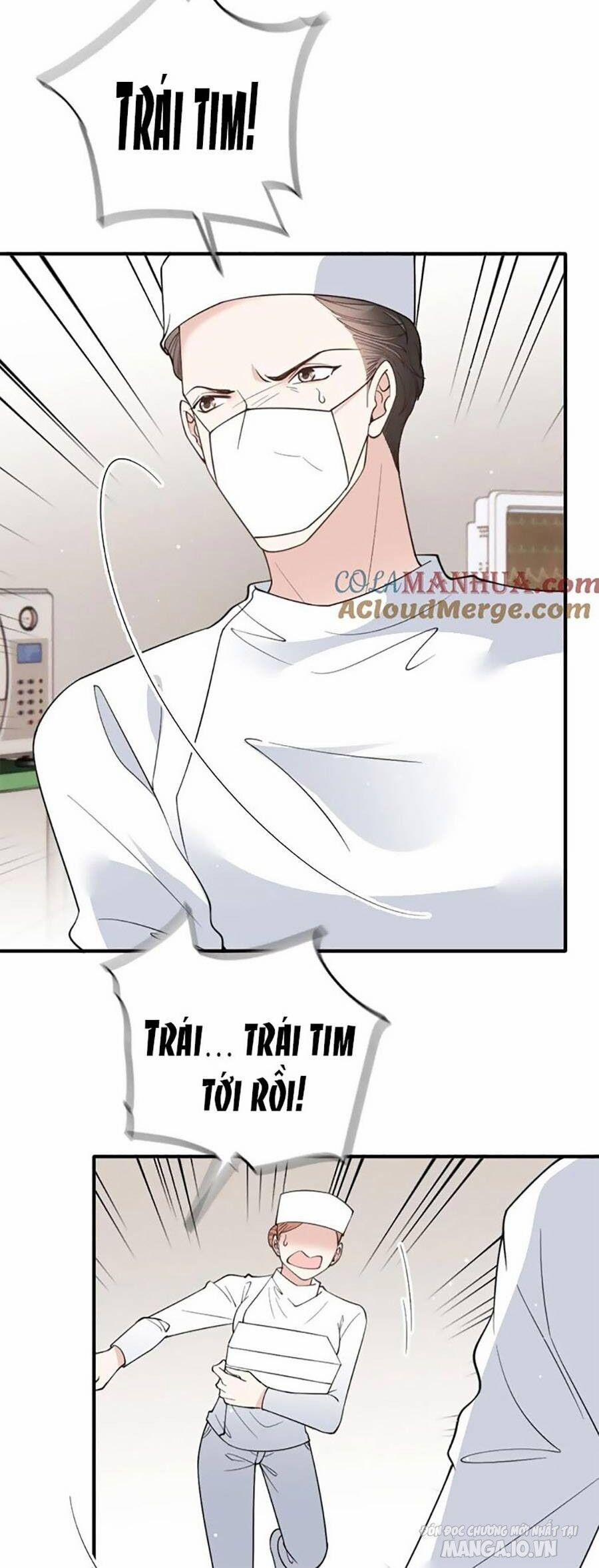 manhwax10.com - Truyện Manhwa Cô Vợ Mang Thai Một Tặng Một Chương 288 Trang 24