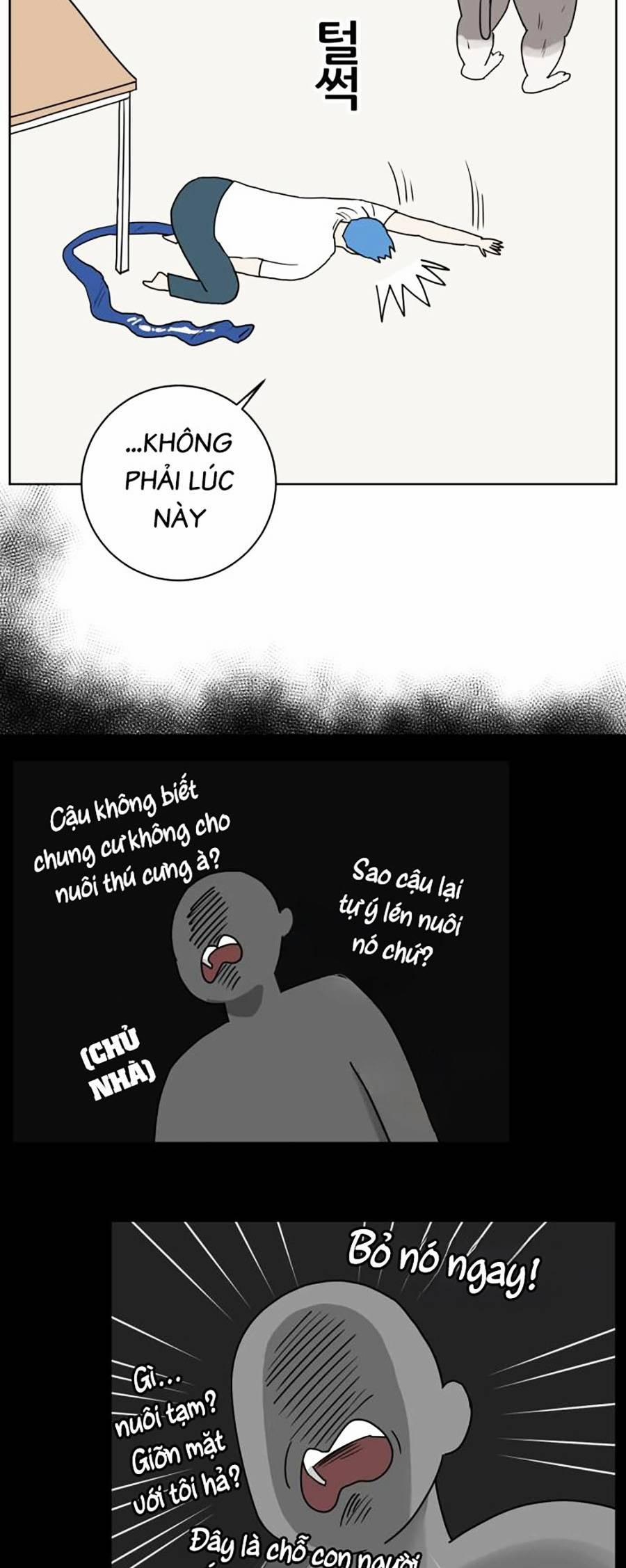 manhwax10.com - Truyện Manhwa Con Mèo Đô Vật Của Tôi Chương 2 Trang 19